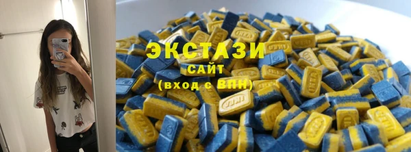 гашик Осинники