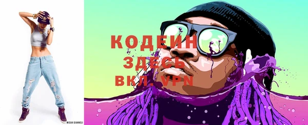 гашик Осинники