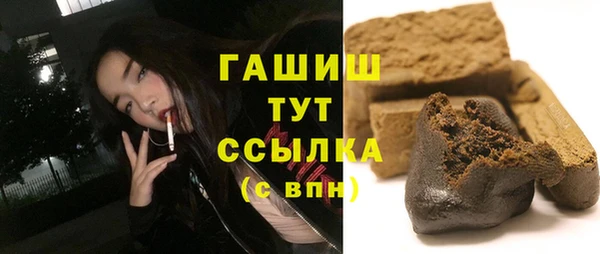 гашик Осинники