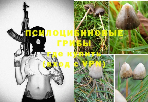 гашик Осинники