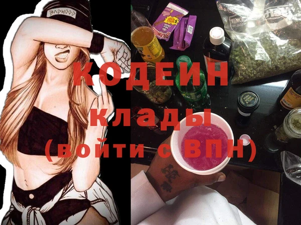 гашик Осинники