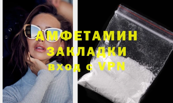 гашик Осинники