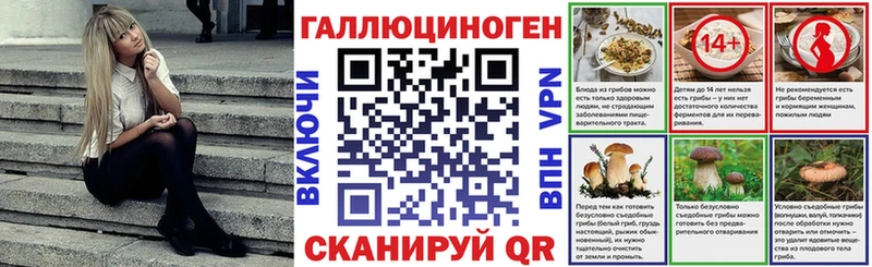 Галлюциногенные грибы GOLDEN TEACHER  купить  цена  Североуральск 
