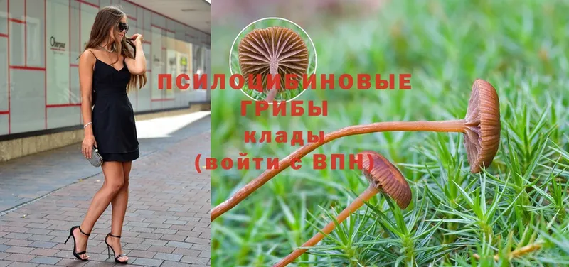 даркнет сайт  Североуральск  Галлюциногенные грибы Psilocybe 